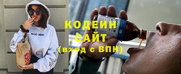 индика Баксан