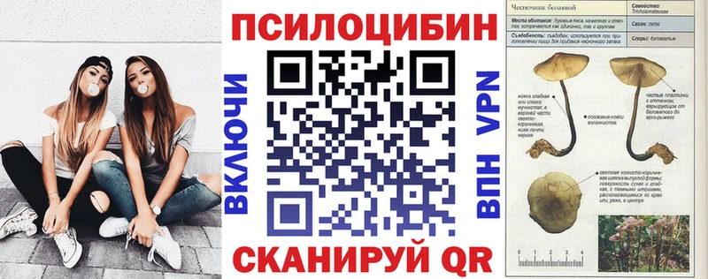 мега ссылка  Верея  Галлюциногенные грибы мицелий 